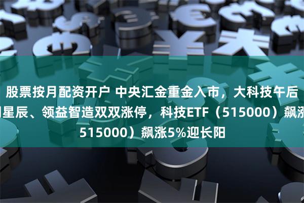 股票按月配资开户 中央汇金重金入市，大科技午后引爆！启明星辰、领益智造双双涨停，科技ETF（515000）飙涨5%迎长阳